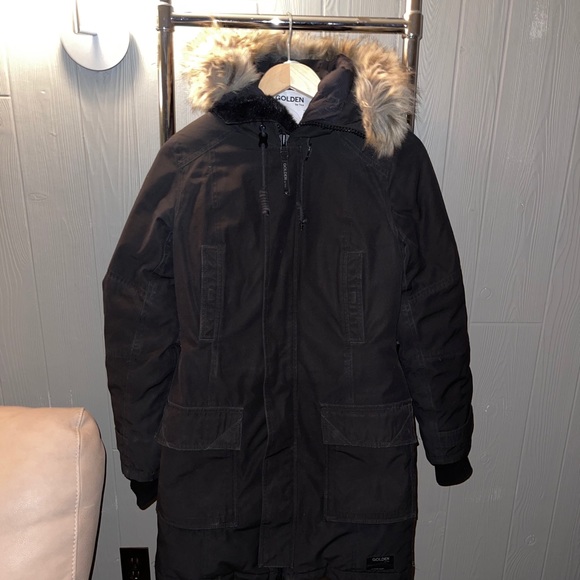 Aritzia Bancroft Parka